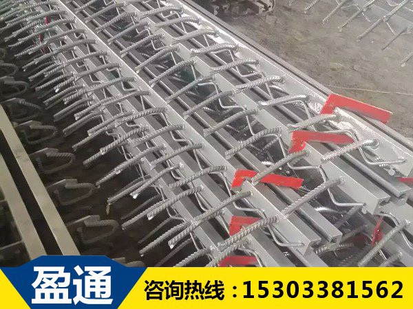 橋梁伸縮縫 橋梁伸縮縫