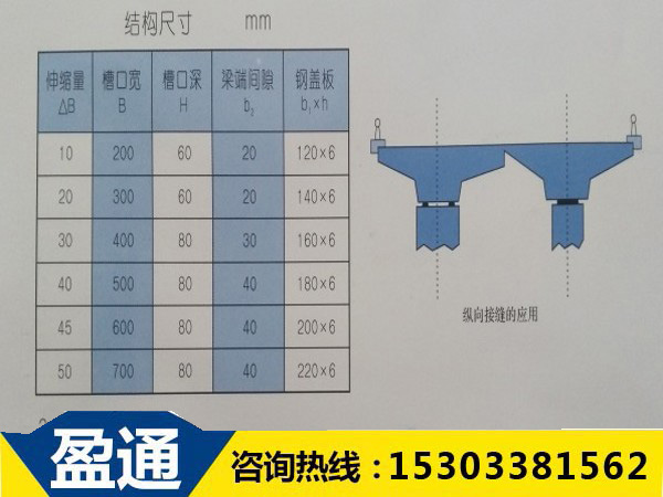 TST填充式橋梁接縫彈塑體的結(jié)構(gòu)尺寸圖 TST填充式橋梁接縫彈塑體的結(jié)構(gòu)尺寸圖