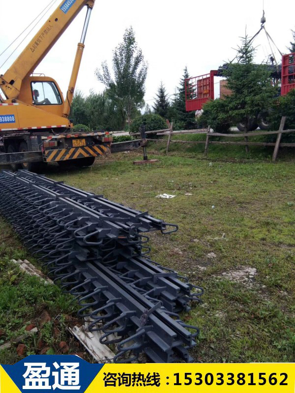 橋梁伸縮縫吊裝.jpg 橋梁伸縮縫吊裝.jpg